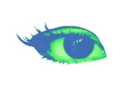 eye